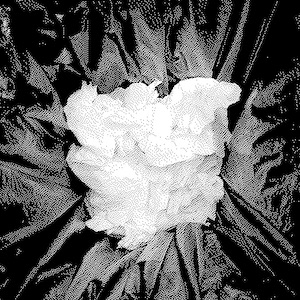 top down view of paper hand towels in a rubbish bin